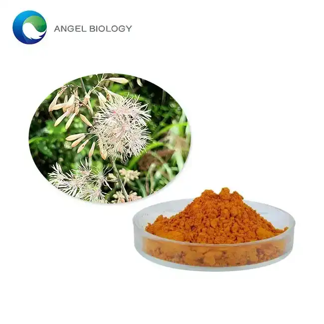 How Does Bocconia Cordata Extract Support Blood Circulation?
